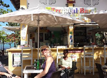 dominican-republic/puerto-plata/bar/tropical-bar