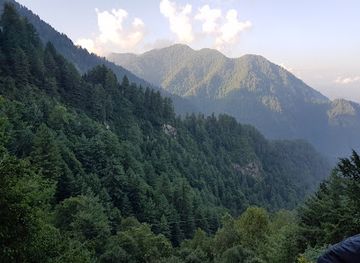 pakistan/ayubia-national-park/bar/ayubia-national-park-dunga-gali
