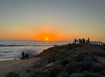 namibia/skeleton-coast/bar/brewer-butcher