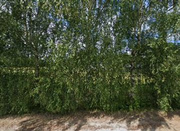 latvia/cesis/bar/baltini