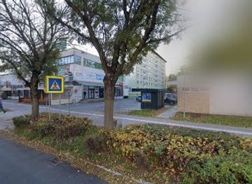 slovakia/turiec/bar/kozel