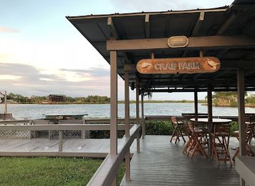 florida/nature-coast/bar/peck-s-old-port-cove