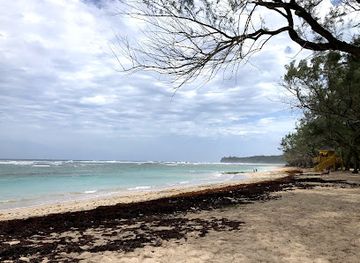 barbados/bathsheba/bar/eastcoast-beach-house-getaway