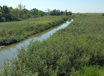 hungary/hortobagy/bar/9-lyuku-sorozo-bar