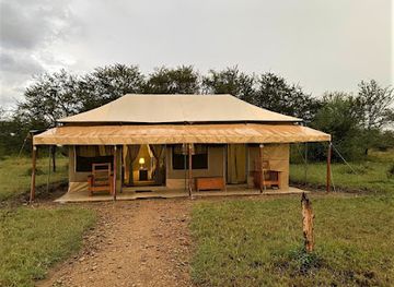 tanzania/serengeti-national-park/bar/into-wild-africa-luxury-tented-safari-camp-serengeti