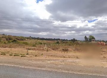 kenya/amboseli-national-park/bar/safari-garden