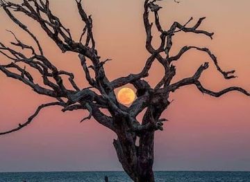 guyana/pomeroon-supenaam/bar/r-singh-off-license-liquor-store