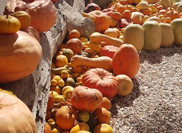 south-africa/breede-river-valley/bar/makus-place