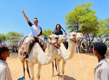botswana/kgalagadi-transfrontier-park/bar/camel-park