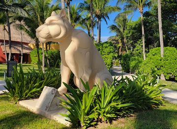 mexico/riviera-maya/bar/coco-bar