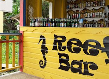 dominica/purple-turtle-beach/bar/reef-bar