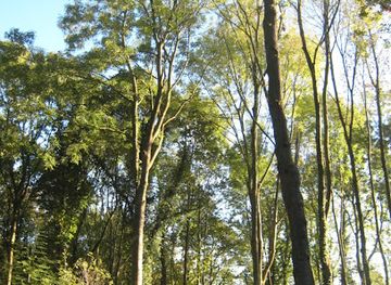 mayotte/plage-de-n-gouja/bar/tdz2