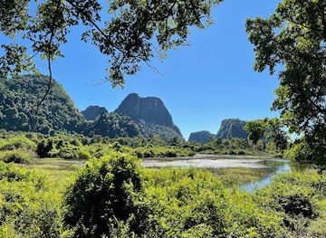 laos/khammouane-limestone-forest/bar/tham-nong-pa-fa