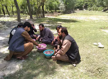 کاپیسا