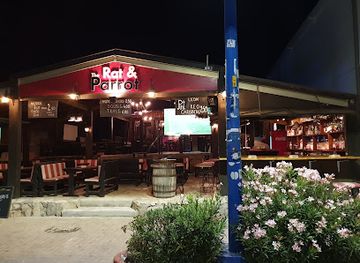 cyprus/makronissos-peninsula/bar/rat-parrot