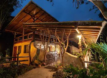 Motmot Oasis Restaurante