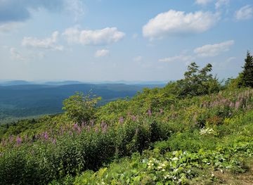 west-virginia/spruce-knob/bar/spruce-knob