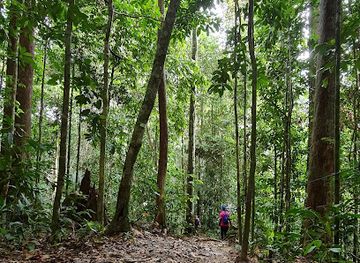 brunei/labu-forest-reserve/bar/bukit-patoi-recreational-park