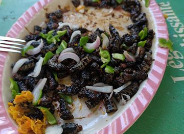 burkina-faso/banfora/bar/maquis-la-plage-banois