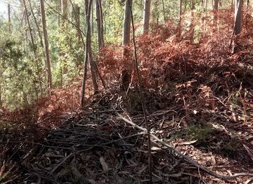 portugal/coimbra/bar/madeiras-bar