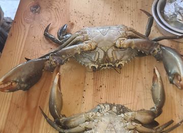 yemen/al-hudaydah/bar/