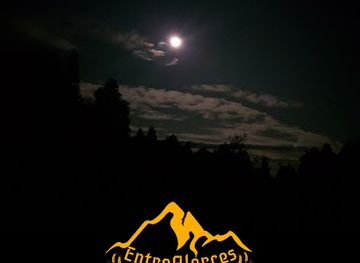 chile/los-lagos-region/bar/entre-alerces-craft-beer