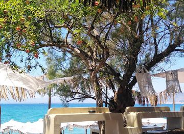 greece/peloponnese/bar/ginger