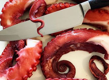 virginia/assateague-island/bar/blackfin