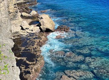 tonga/uoleva-island/bar/hamala-tonga-tours