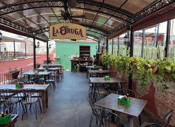 mexico/huasteca/bar/la-oruga-y-la-cebada