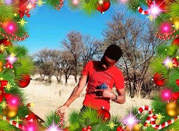 zimbabwe/masvingo/bar/graceland