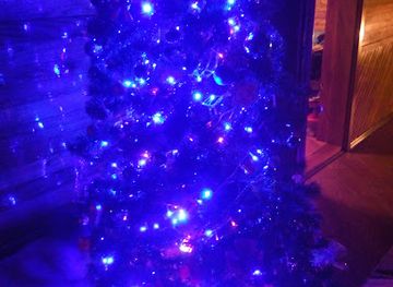 ukraine/hoverla-mountain/bar/oslavchanka