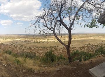 zimbabwe/hwange-national-park/bar/elephant-and-dassie-restaurant