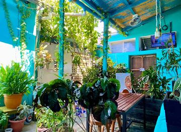 guatemala/tikal/bar/tikal-coffee-bar