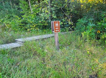 virginia/mount-rogers-national-recreation-area/bar/mount-rogers-and-appalachian-trail-loop