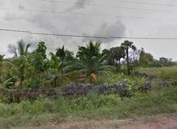 sri-lanka/mannar-district/bar/