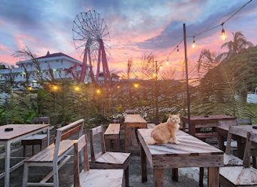 malaysia/langkawi/bar/brian-s-bar