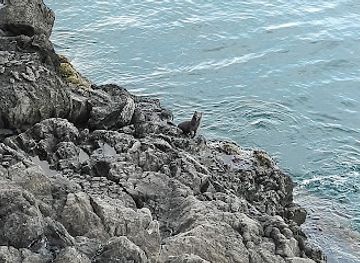 canada/newfoundland-and-labrador/bar/club-68