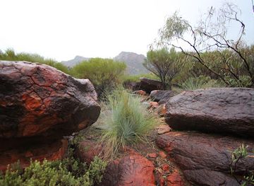 australia/flinders-ranges/bar/ikara-flinders-ranges-national-park