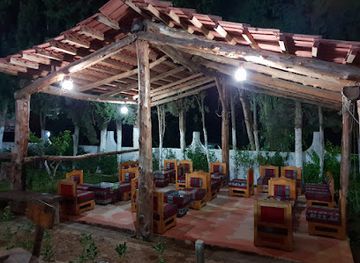 tunisia/the-cap-bon-peninsula/bar/cafe-sous-l-arbre