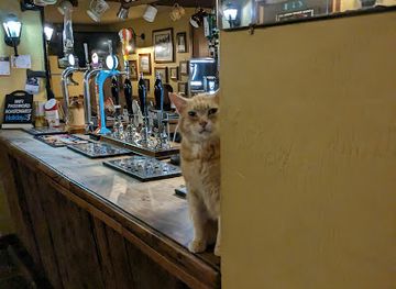 united-kingdom/radnorshire/bar/roast-ox-inn