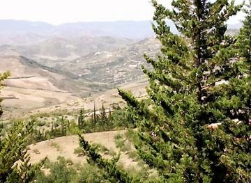 algeria/hodna-mountains/bar/