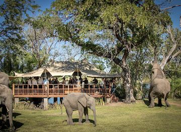 zambia/victoria-falls-area/bar/the-elephant-cafe-livingstone