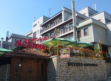 bulgaria/dobrinishte/bar/mehana-dobrinishte