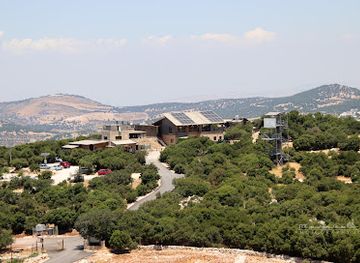 jordan/ajloun-forest-reserve/bar/muhimiat-ghabat-ajloun