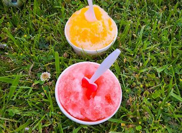 alabama/little-river-canyon/bar/tropical-sno