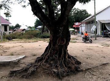 tanzania/mahale-mountains/bar/kimanzichama-top-life-pub