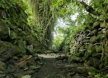 micronesia/kosrae/bar/lelu-ruins-historic-park