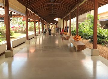 sri-lanka/bundala-national-park/bar/shangri-la-pool-bar