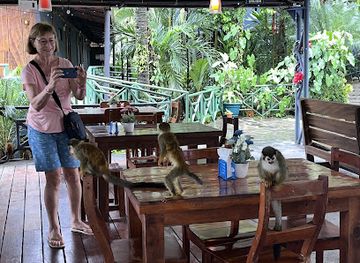 costa-rica/manuel-antonio-national-park/bar/rasta-bar-y-restaurante